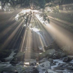 Meet your Posher, Zoe